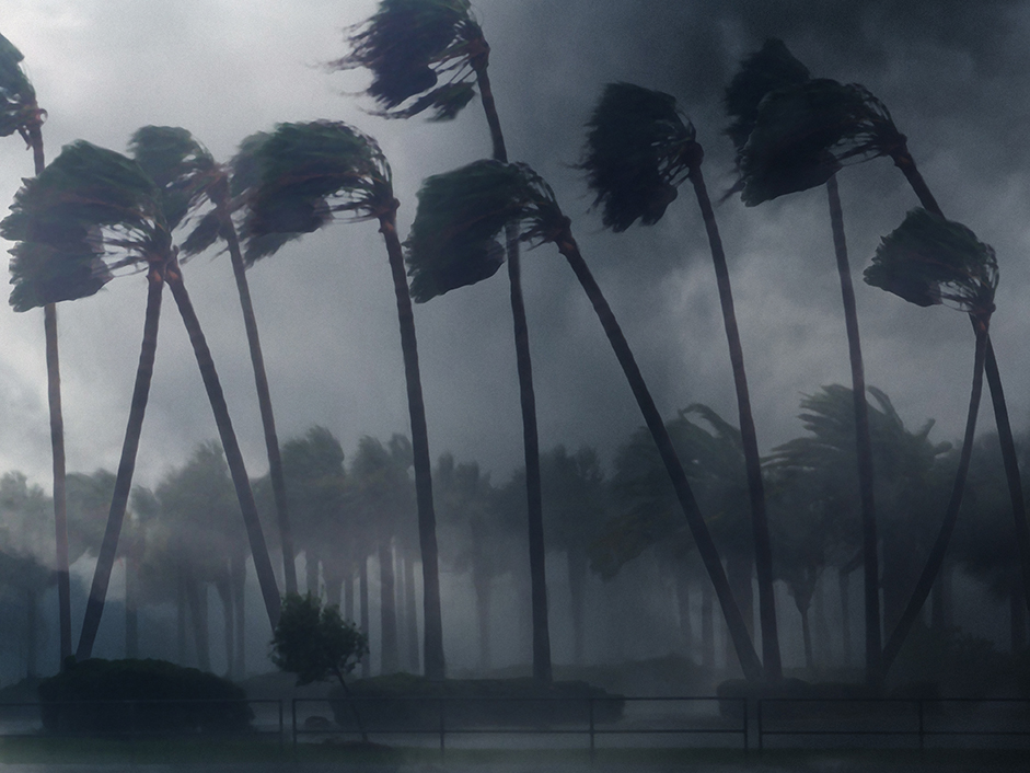 Typhoon image