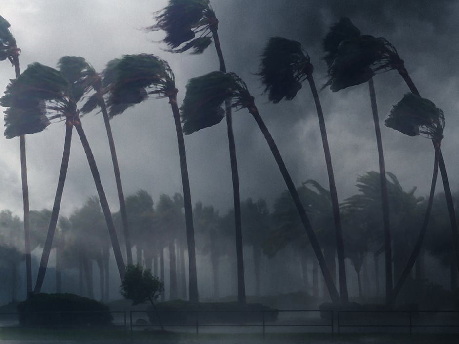 Typhoon image